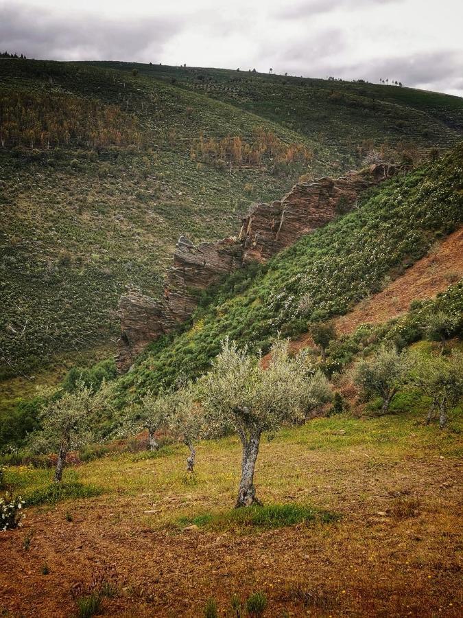Casa Das Quintas Quinta das Quebradas Dış mekan fotoğraf